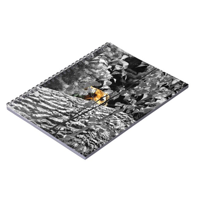 Tiger Peek-a-boo Notebok Notebook (Left Side)