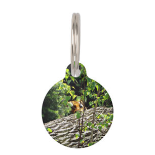 Tiger Peek-a-boo Pet Tag