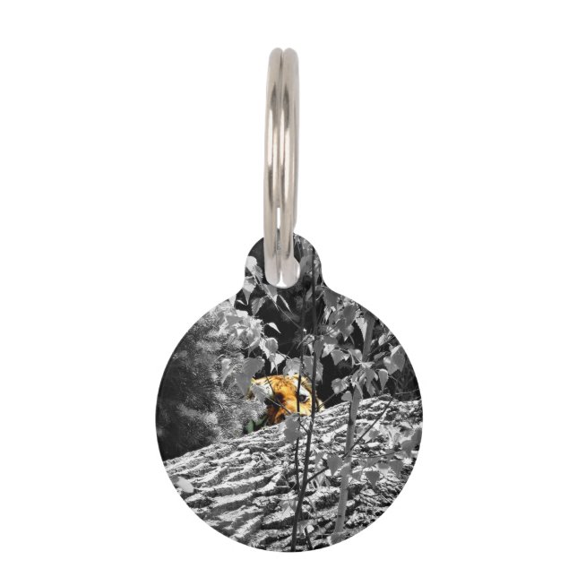 Tiger Peek-a-boo Pet Tag (Front)