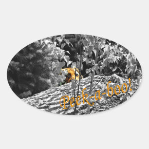 Tiger Peek-a-boo Sticker