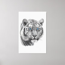 Tiger - Pencil Drawing with blue eyes