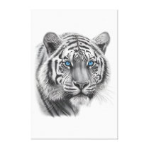 https://rlv.zcache.com/tiger_pencil_drawing_with_blue_eyes_canvas_print-rc91c2e980bc14f2c90b96df020e6c367_wtv_8byvr_210.jpg