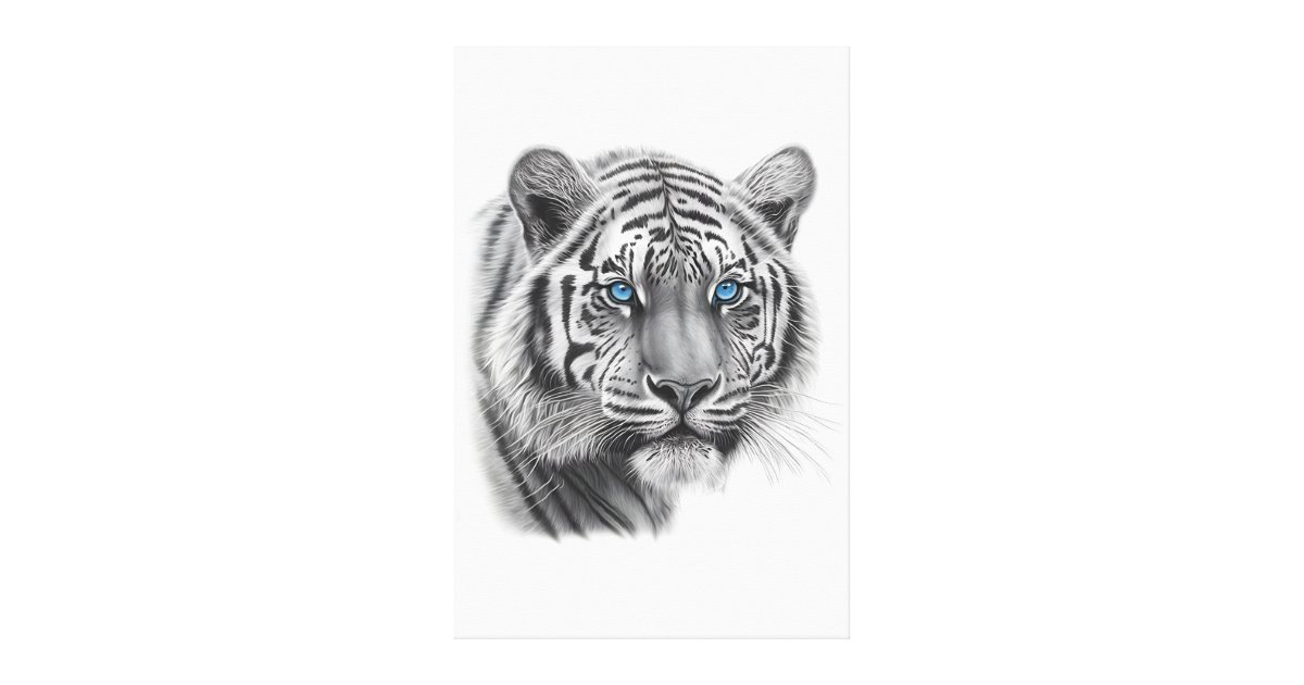 drawings in pencil of tigers