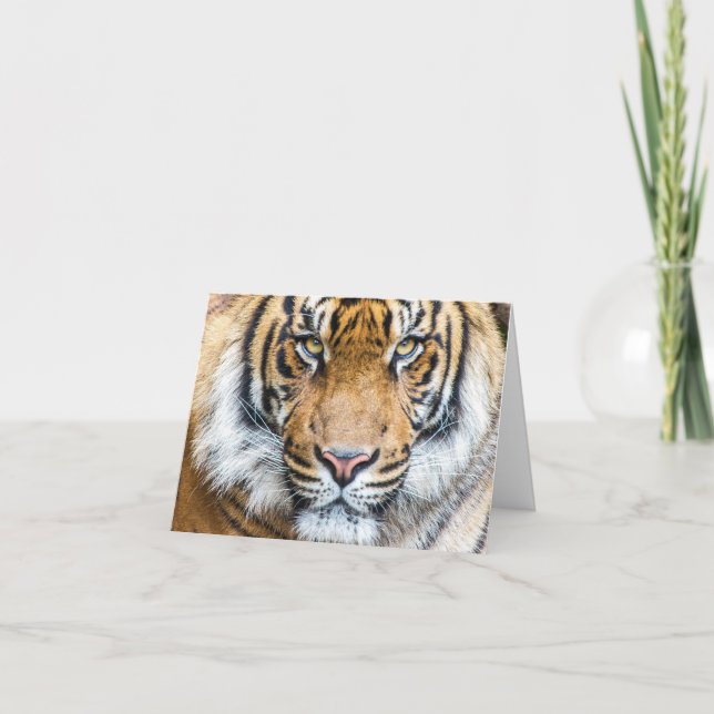 Tiger Personalized Name Happy Birthday Card (Front)
