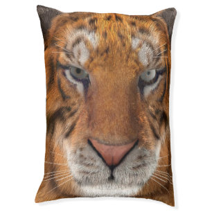 Tiger Pet Bed