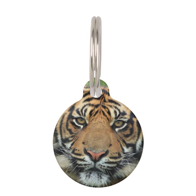 Tiger Pet ID Tag (Front)