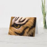 Tiger Photo Greeting Card