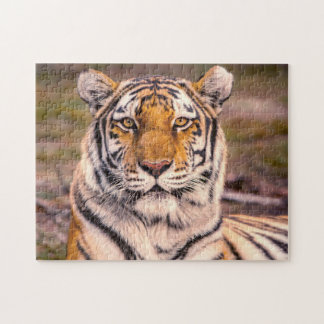 Tiger Photo Portrait Jigsaw Puzzle