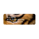 Tiger Photo Return Address Label