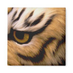 Tiger Photo Square Magnet