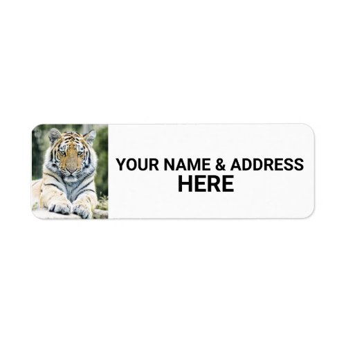 TIGER PHOTOGRAPHY RETURN ADDRESS LABELS