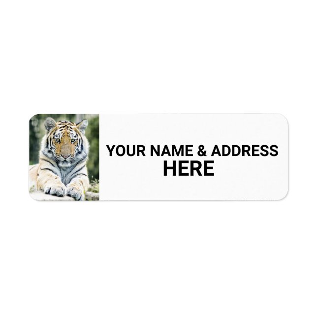 TIGER PHOTOGRAPHY RETURN ADDRESS LABELS (Front)