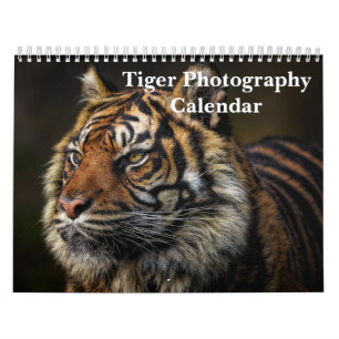Tiger Photography Wild Animal 2027 Calendar