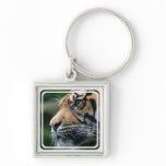 Tiger Picture Keychain