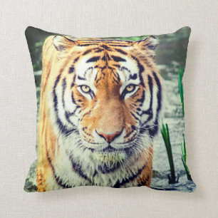 Tiger Pillow