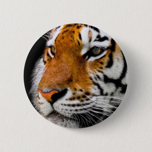 Tiger Pinback Button