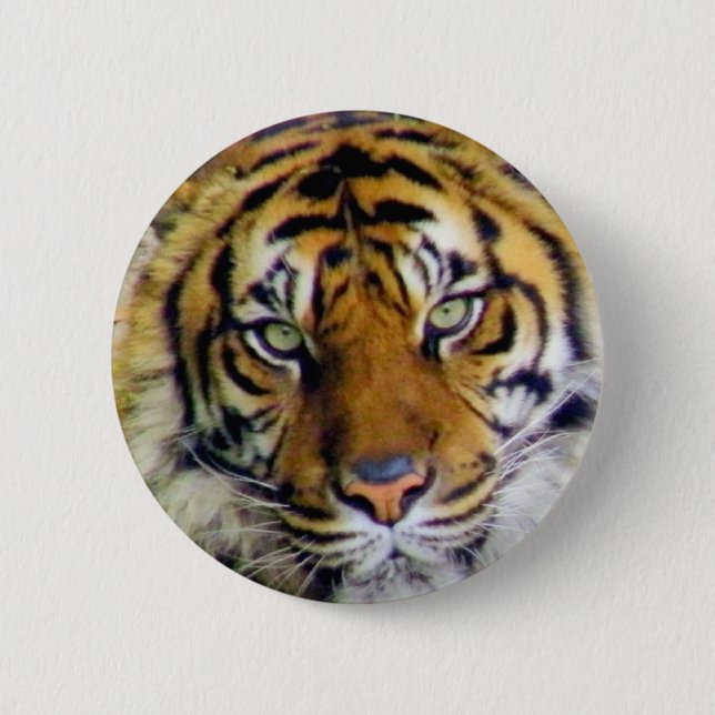Tiger_ Pinback Button (Front)