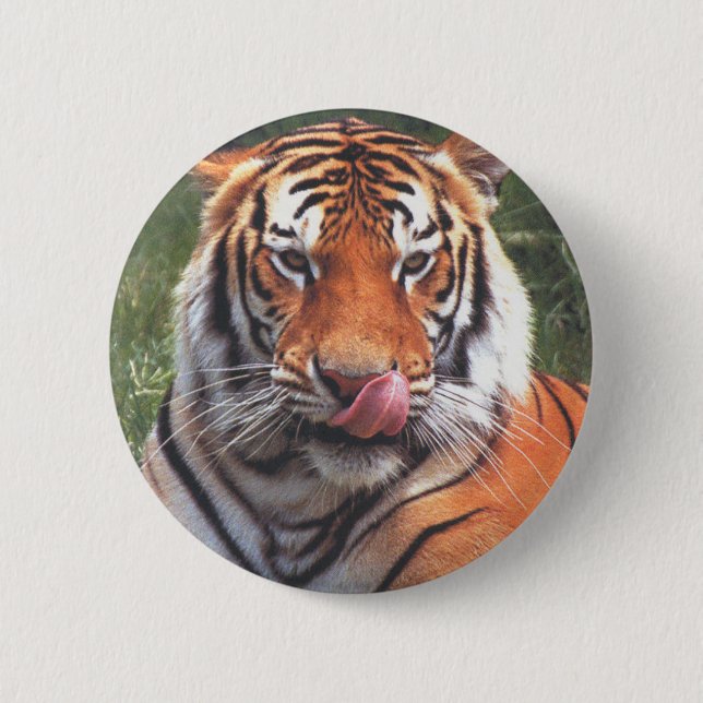 Tiger Pinback Button (Front)