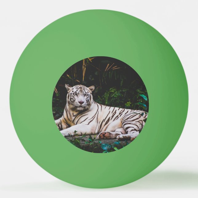 Tiger Ping Pong Ball (Front)