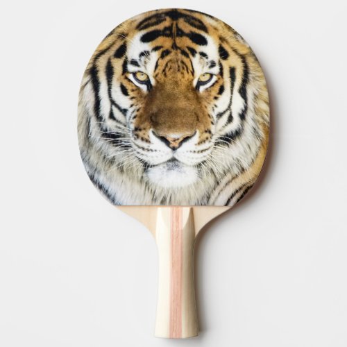 Tiger Ping Pong Paddle