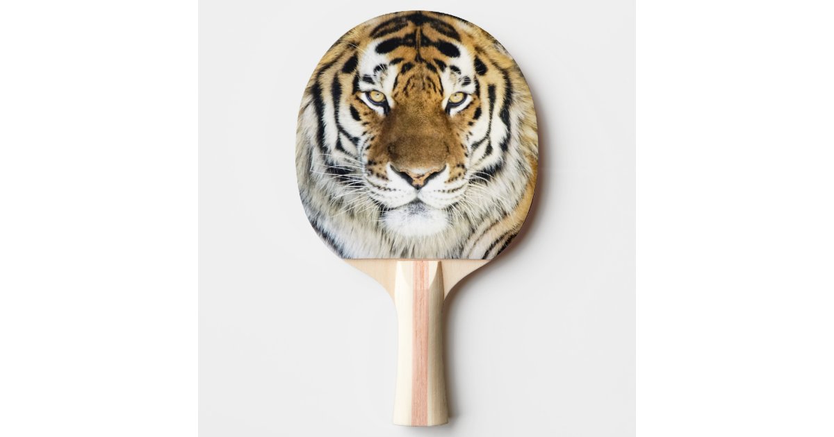 tilskuer domæne Bør Tiger Ping Pong Paddle | Zazzle