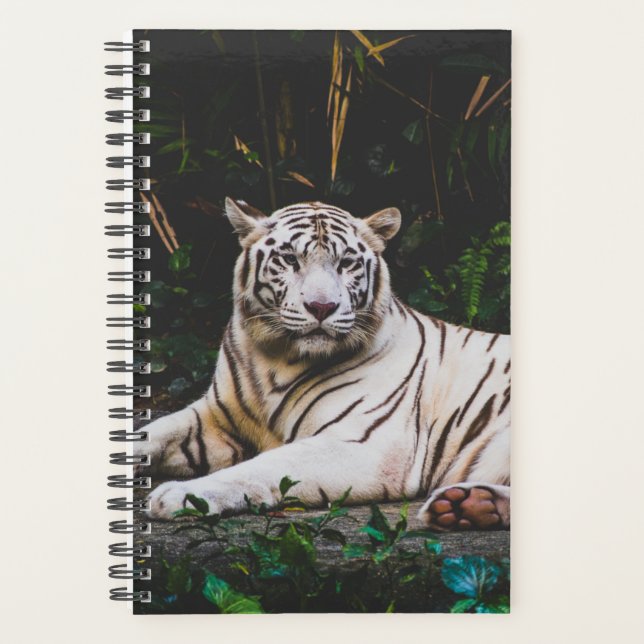 Tiger Planner (Front)