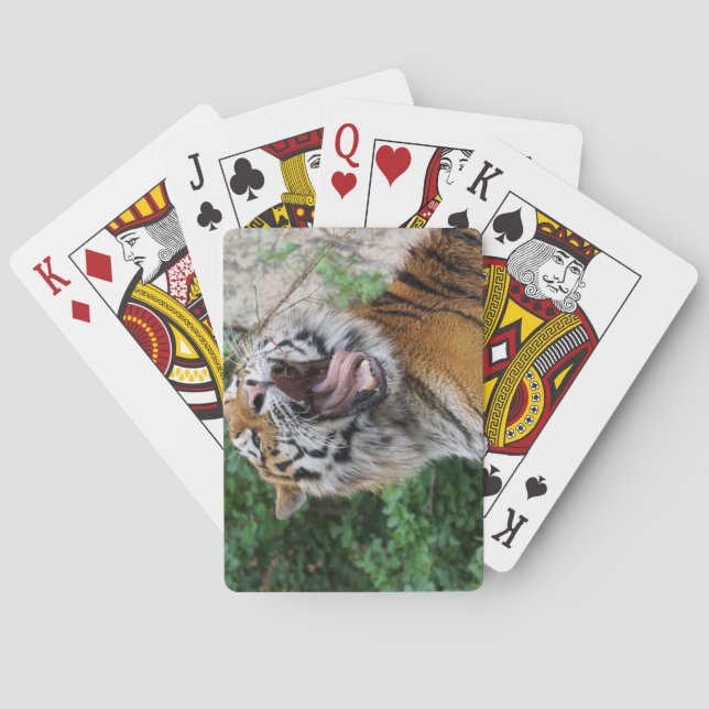 Tiger playing cards (Back)