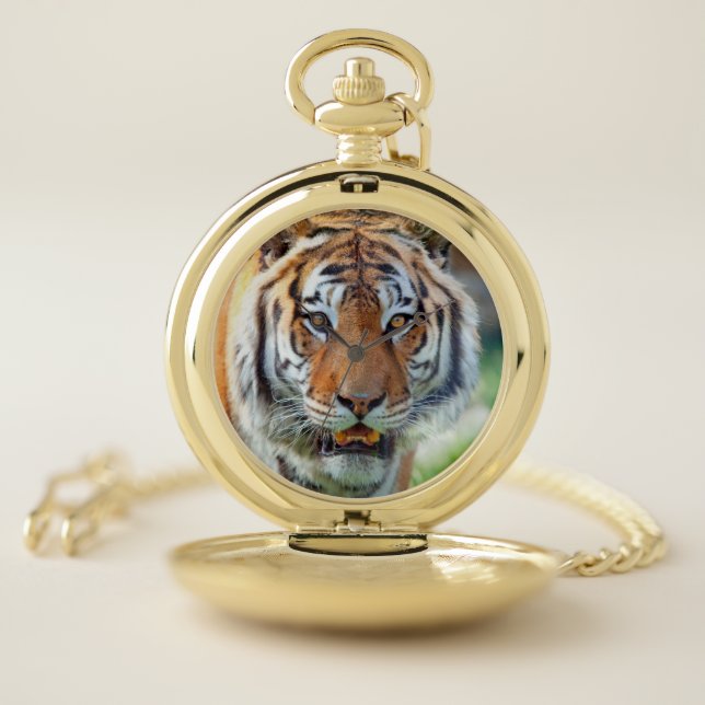 Tiger Pocket Watch (Inside)