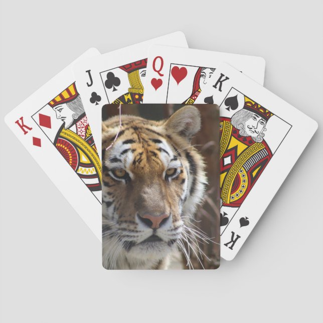 Tiger Poker Cards (Back)
