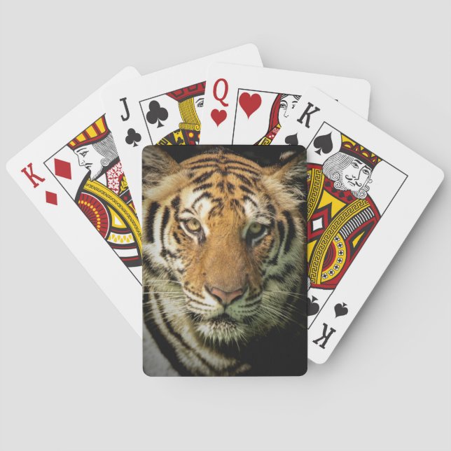 tiger poker cards (Back)