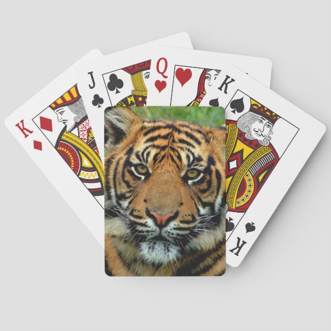 Tiger Poker Cards (Back)