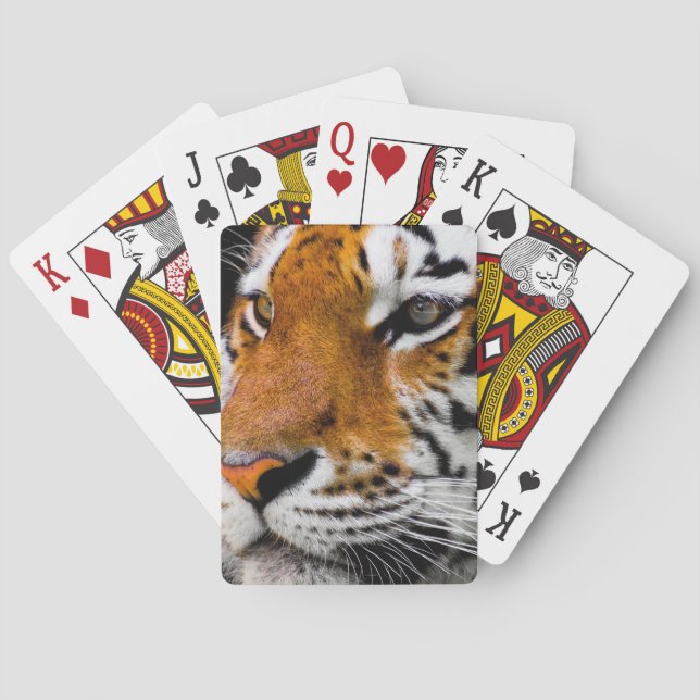 Tiger Poker Cards (Back)