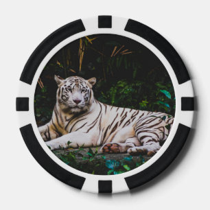 Tiger Poker Chips