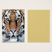 Tiger Portrait in Graphic Press Style (Front & Back)