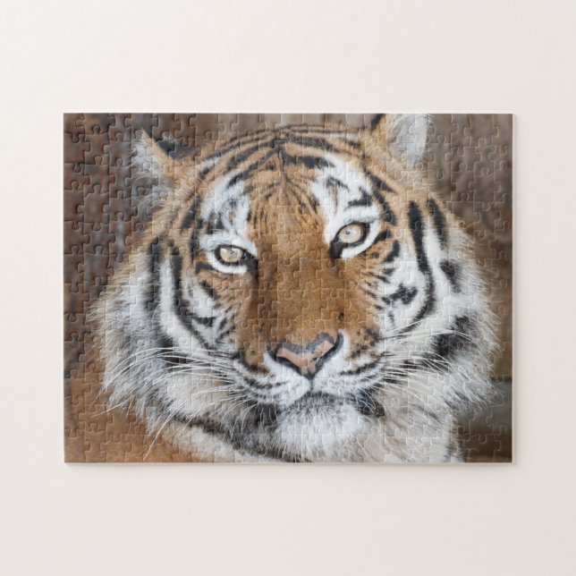 Tiger Portrait Jigsaw Puzzle (Horizontal)