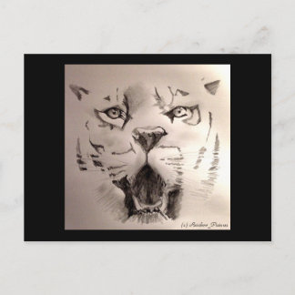 Tiger Postcard