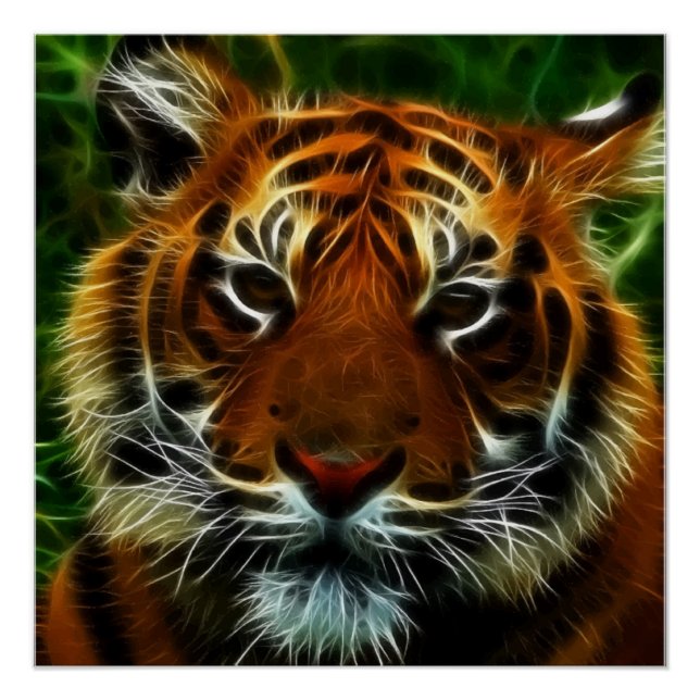 TIGER POSTER (Front)