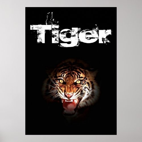 Tiger Poster