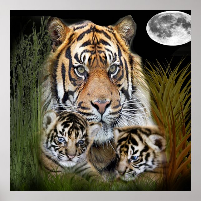 Tiger Poster (Front)