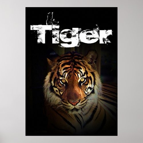 Tiger Poster