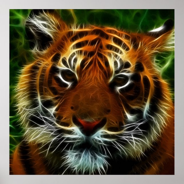 TIGER POSTER (Front)