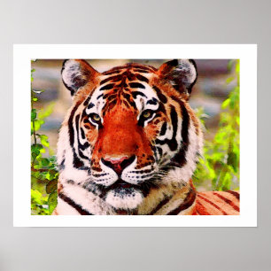 Tiger Poster Print - Pop Art Style Tigers Posters