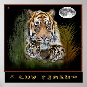 Tiger posters