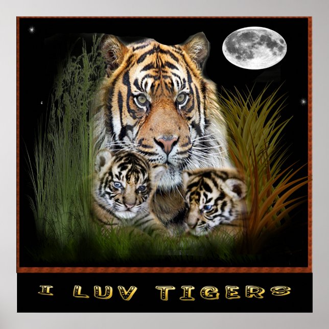 Tiger posters (Front)