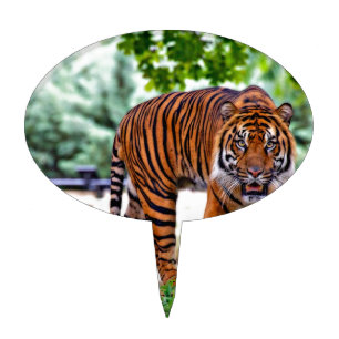 tiger print cat custom personalize Anniversaries Cake Topper