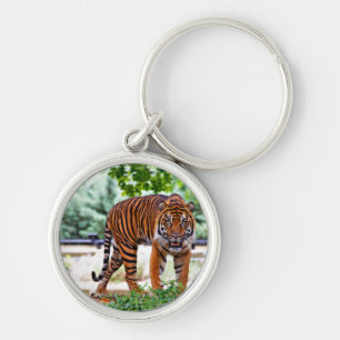 tiger print cat custom personalize Anniversaries Keychain