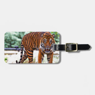 tiger print cat custom personalize Anniversaries Luggage Tag