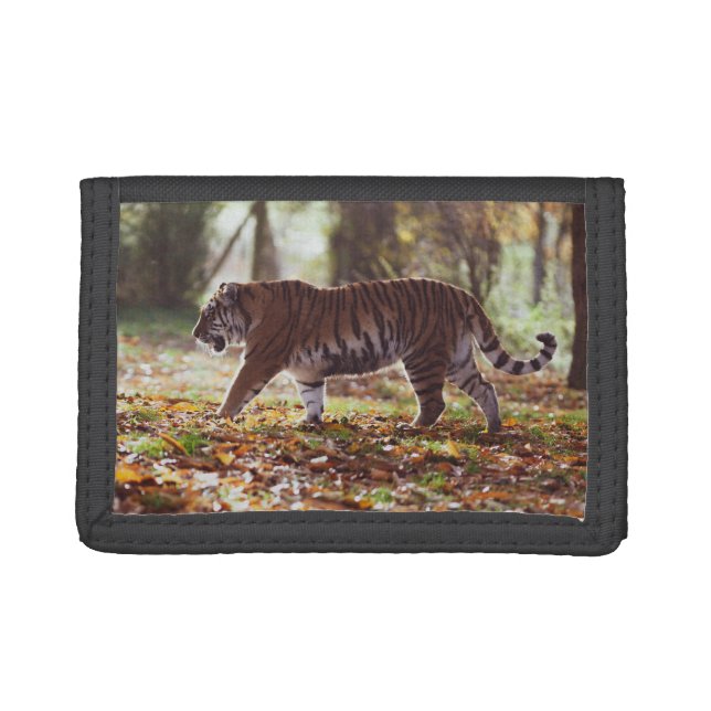 Tiger Prowling Photo Wallet (Front)