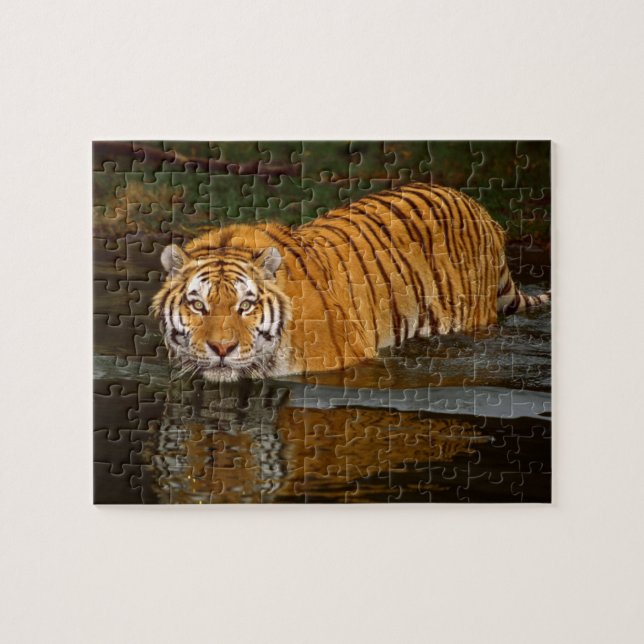 Tiger Puzzle (Horizontal)