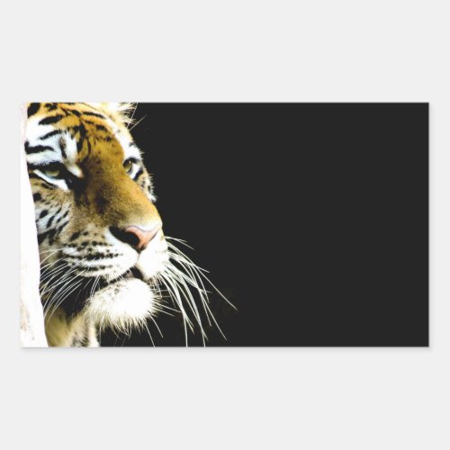 Tiger Rectangular Sticker